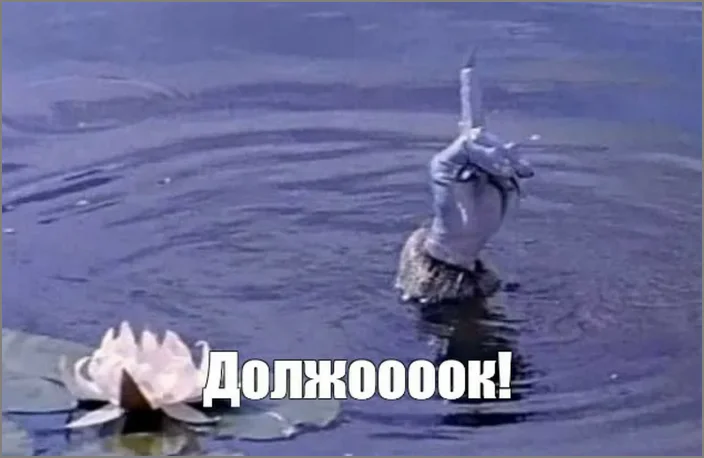 должооок - мем 2025-06-141651.webp